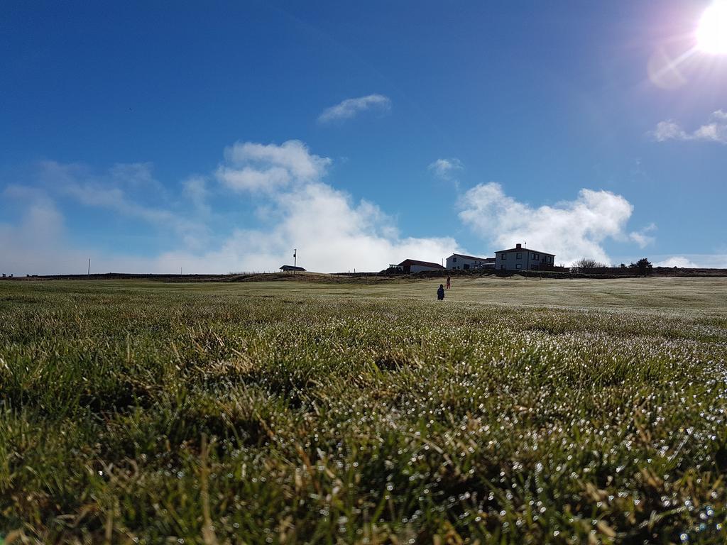 Grásteinn Guesthouse Þórshöfn Exterior foto