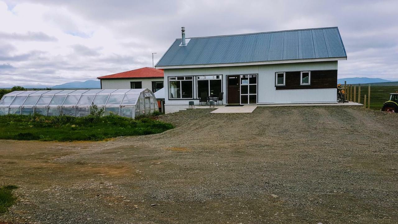 Grásteinn Guesthouse Þórshöfn Exterior foto